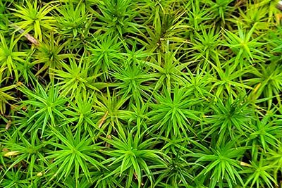 wordpress-betreuung-selbststaendige